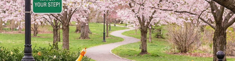 Park path with cherry blossoms, toy animals, and sign reading SPRING FLING WATCH YOUR STEP!