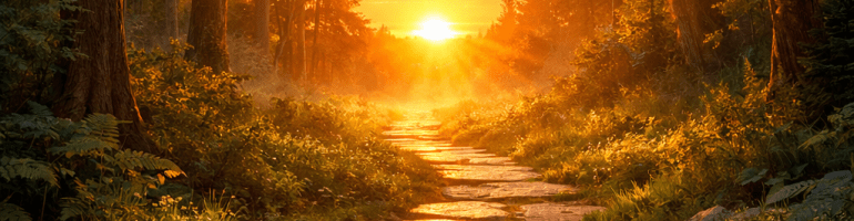 Open book on stone path through forest illuminated by sunset