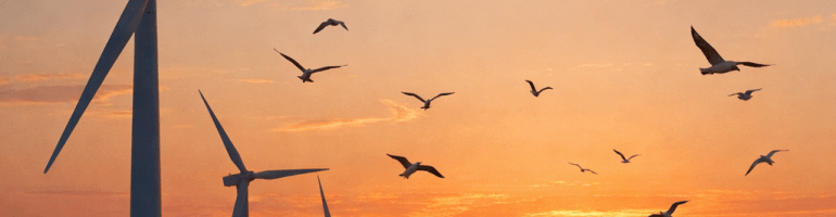 Line of offshore wind turbines in the sea at sunset with seagulls flying overhead