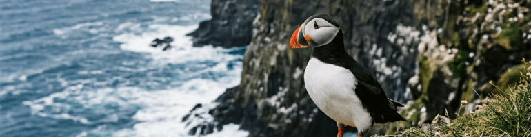 Atlantic puffin perched on mossy cliff with ocean and rugged coastline background