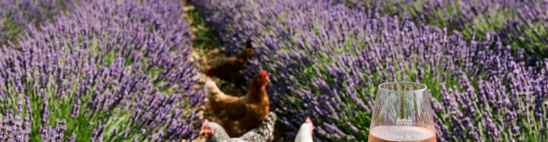 Chickens walking between lavender rows with glass of rosé wine and bowls of nuts on table